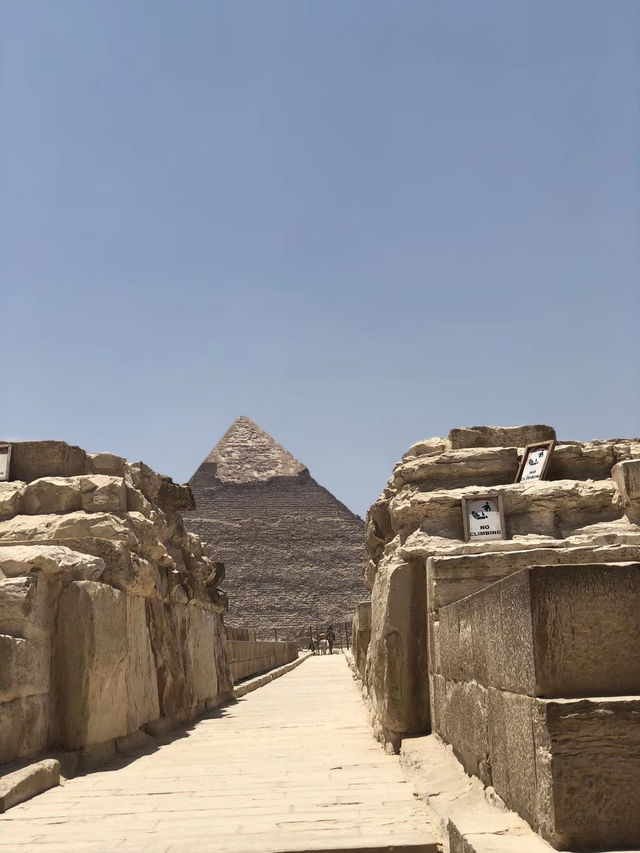 帶著書本和孩子一起去埃及旅行