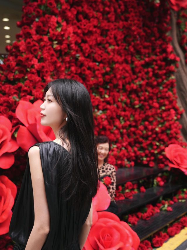 在重慶還是有什麼比返場的玫瑰瀑布浪漫