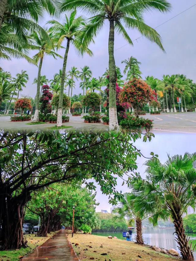 五月去海南海口吧，亲測這座好玩浪漫的城市