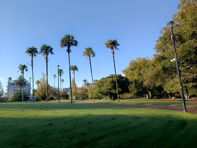 阿爾伯特王子公園