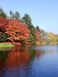 🍁 Autumn Escapes: Karuizawa's Luxe Retreat 🏨✨