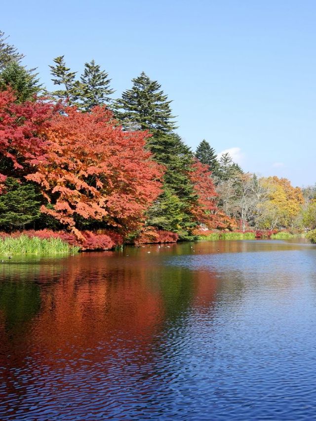 🍁 Autumn Escapes: Karuizawa's Luxe Retreat 🏨✨