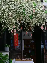 蘇州4月賞花｜四月平江路頂流，木香花開了