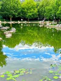 一頭栽進夏天裡，簡直不要太好看！