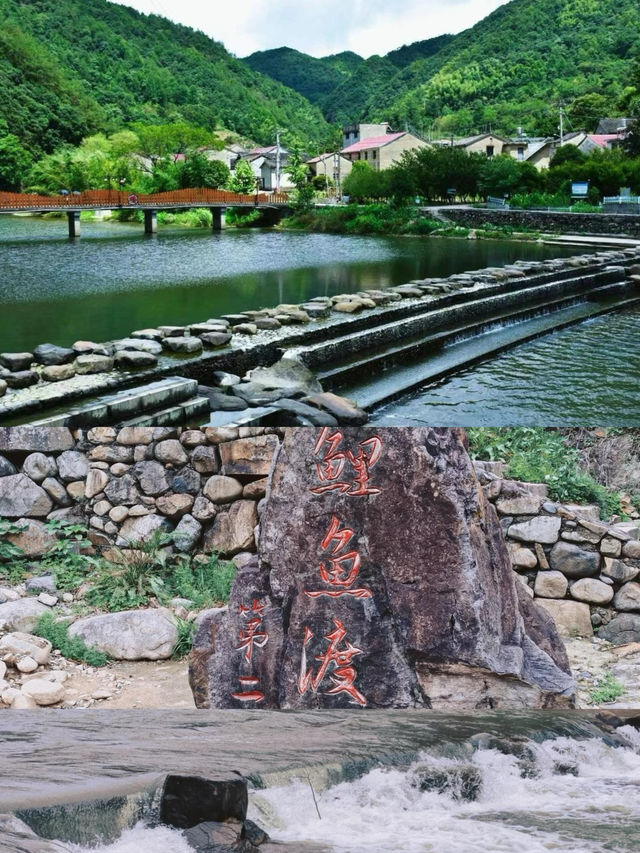來到這裡