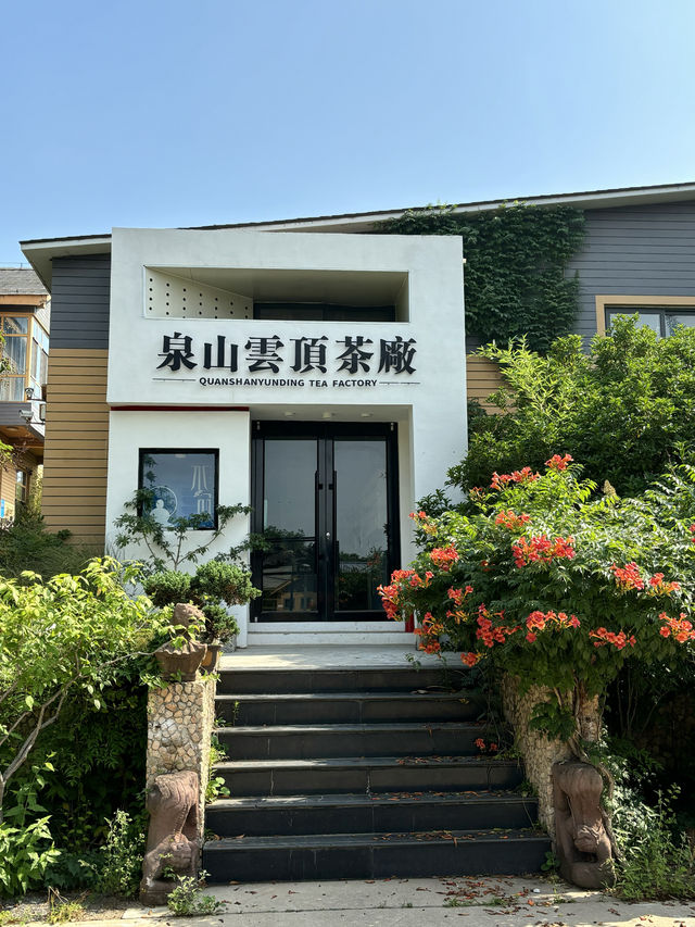 來日照不住海邊來山裡吸氧了～