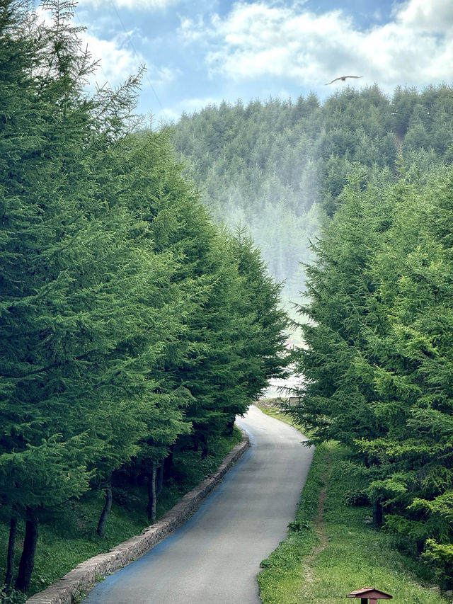 暑期避暑 | 來山西版阿勒泰穿著棉襖過夏天