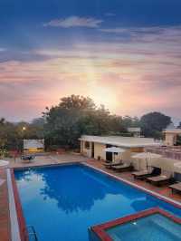 🐯✨ Jungle Luxury Awaits in Ranthambore 🌿🛌