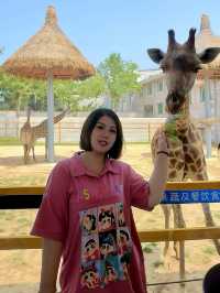 來這之後我才知道動物園也可以這麼有趣