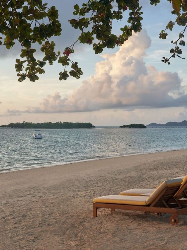 🌴✨ Discover Serenity at SALA Samui Chaweng Beach Resort 🏖️🌅