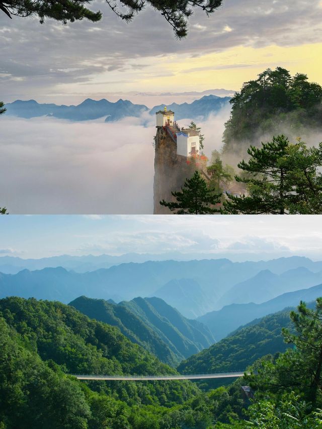欲疏心中惆怅意，问道金顶塔云山