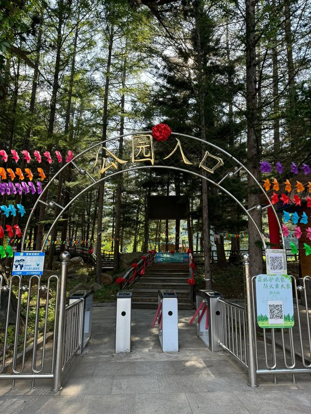 奇景如畫，猴石探秘—撫順猴石國家森林公園旅遊攻略