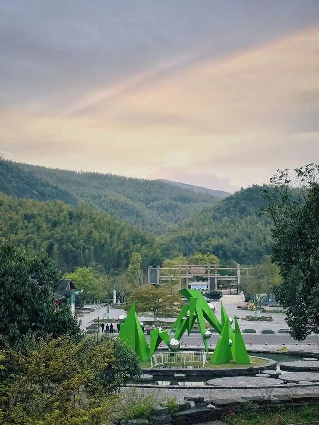 宜興竹海，一場說走就走的“竹”趣之旅
