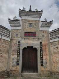 千年時姓古村宗祠，八百歲樟樹兄弟