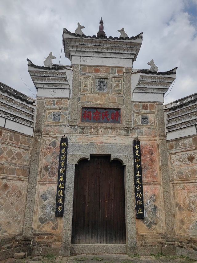 千年時姓古村宗祠，八百歲樟樹兄弟