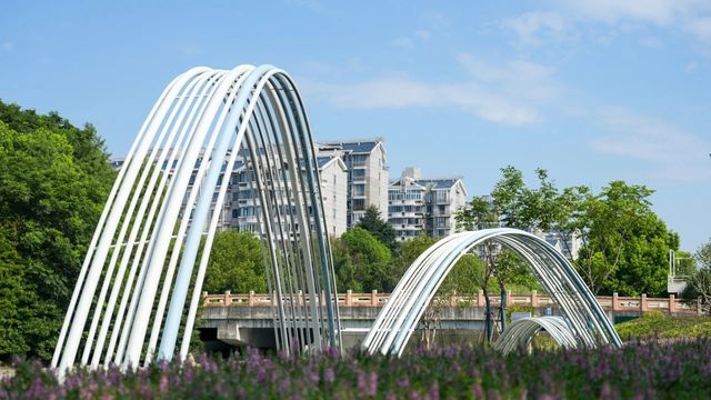 家門口的金虹橋公園