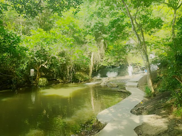 老家來人了玩轉深圳之馬巒山公園