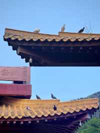 廈門石室禪院｜莫向外求，但從心覓