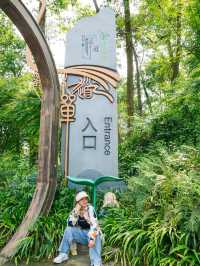 比起青城山，我更愛成都這個小眾徒步地