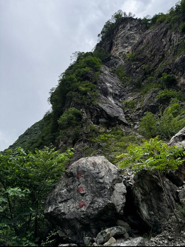 秦嶺國家植物園。