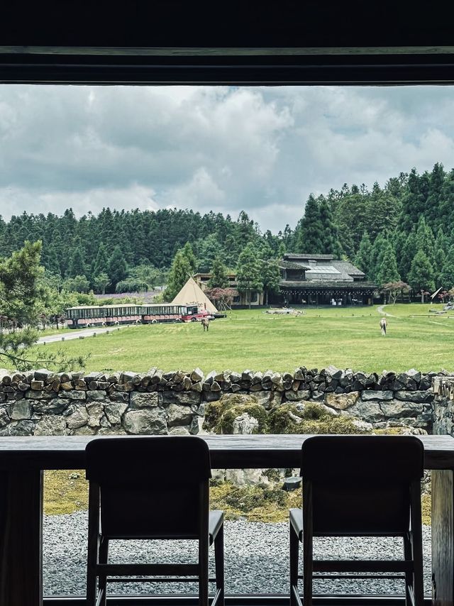 "瑞士山"下嘅仙女山｜仙女山拙雅酒店。