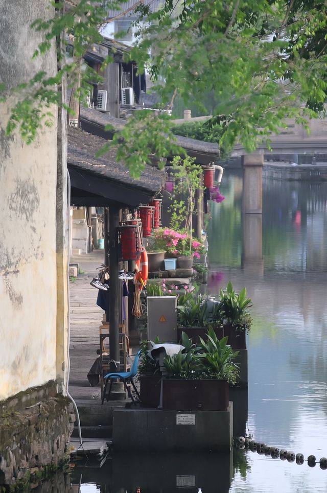 在西小路尋覓老紹興的味道。
