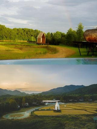 Start a journey with a hotel - Tree Frog Tribe.