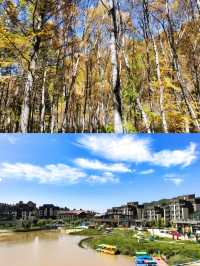 翠雲山森林公園嘅秋天，真係太靚啦！