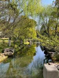 寧波日湖公園丨迷霧森林。