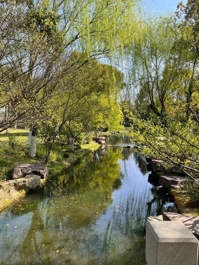 寧波日湖公園丨迷霧森林。
