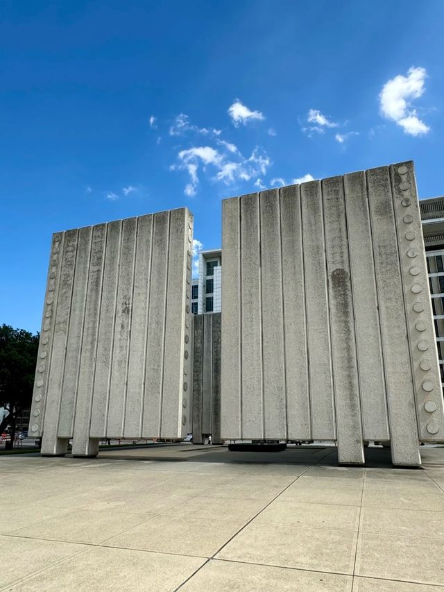Dallas 達拉斯特種兵。