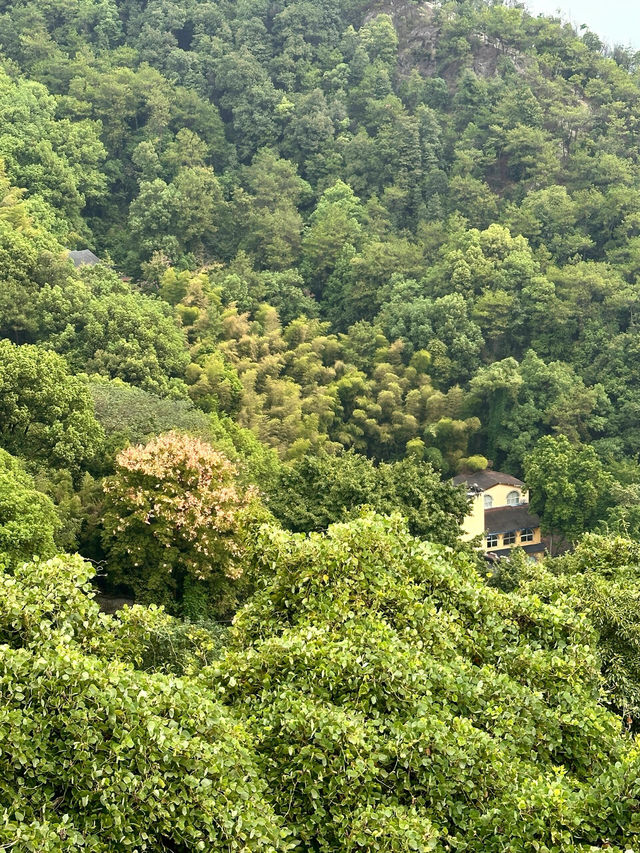 去山間浪費時間｜懸崖上的咖啡廳。