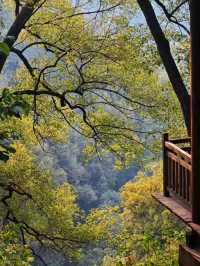 Top hidden places in Chongqing to visit. 🇨🇳