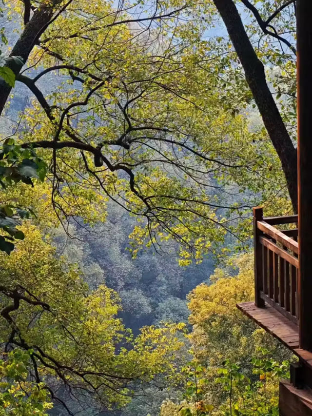 Top hidden places in Chongqing to visit. 🇨🇳