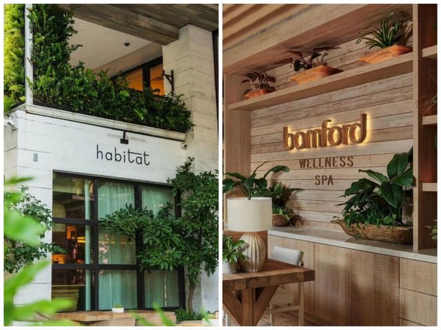邁阿密超級舒適的酒店，1 hotel。