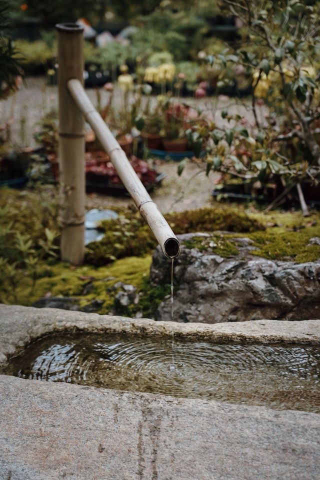 一個人去京都｜雨天才是真正的嵐山。