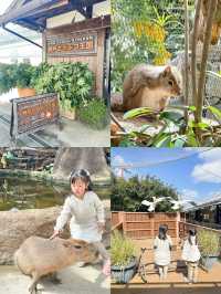 帶孩子來神戶一定要去這家動物王國！附攻略。