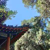 《臣本布衣，躬耕於南陽》——南陽臥龍岡。