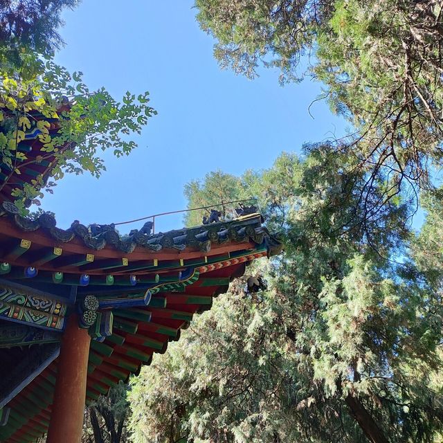 《臣本布衣，躬耕於南陽》——南陽臥龍岡。