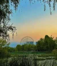 西安免費寶藏公園｜世博園。