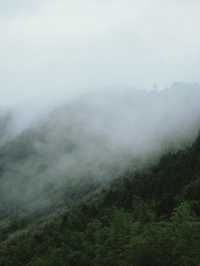偶爾不想工作，就去大山裡住幾天。