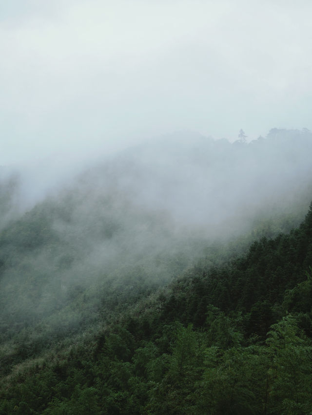偶爾不想工作，就去大山裡住幾天。