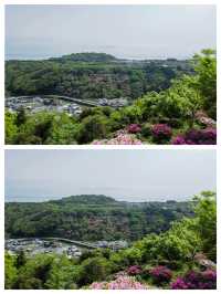 探索佐賀：日本的隱秘瑰寶 。
