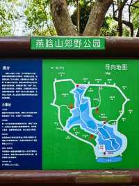 深圳南山區燕晗山公園|市區內的隱世魔法森林。