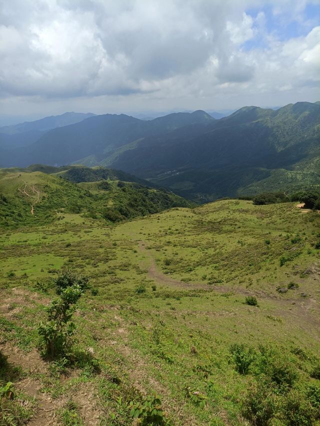 放棄武功山了，廣東這個高山大草甸太絕了。
