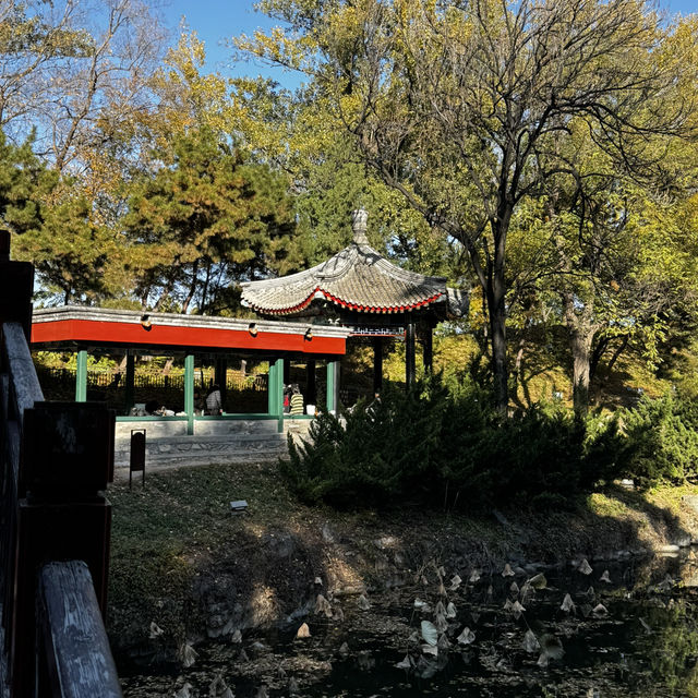 Enjoying the fresh Autumn air at The Summer Palace 🏯