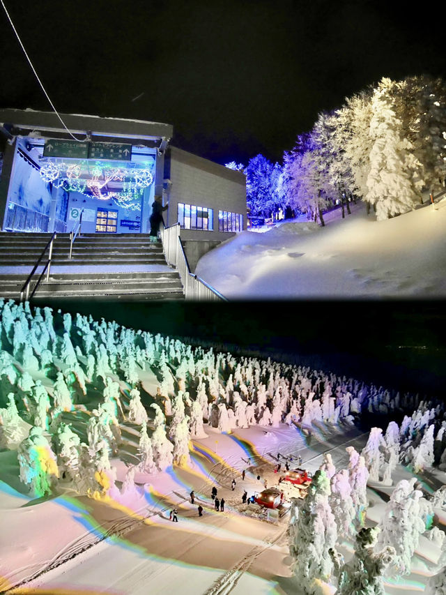 🇯🇵冷到掉耳朵｜搭纜車看冬夜的藏王樹冰❄️