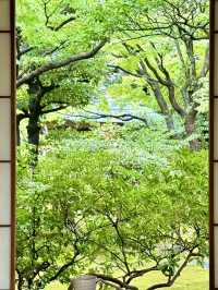 松風幽徑——福岡松風園的寧靜之旅