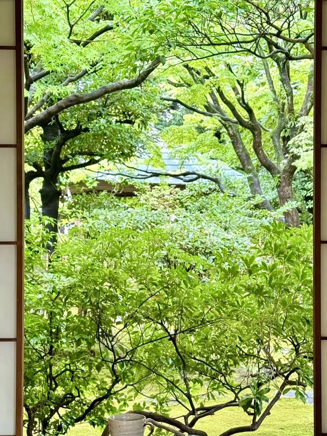 松風幽徑——福岡松風園的寧靜之旅