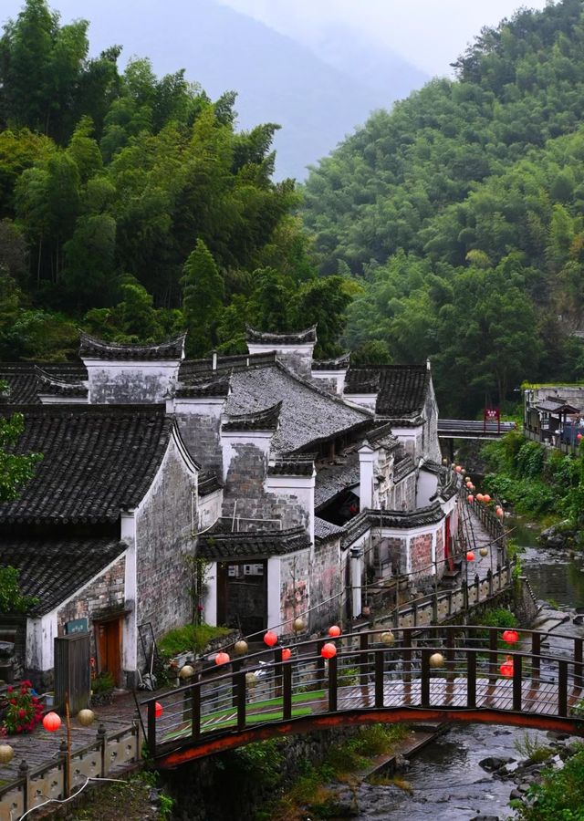 寧波｜奉化亭下湖「孤獨的彩虹樹」不再孤獨。